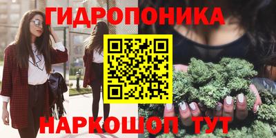 a pvp Краснознаменск