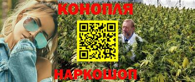 a pvp Краснознаменск