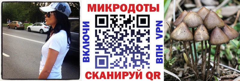 купить  цена  Гусь-Хрустальный  Галлюциногенные грибы мицелий 