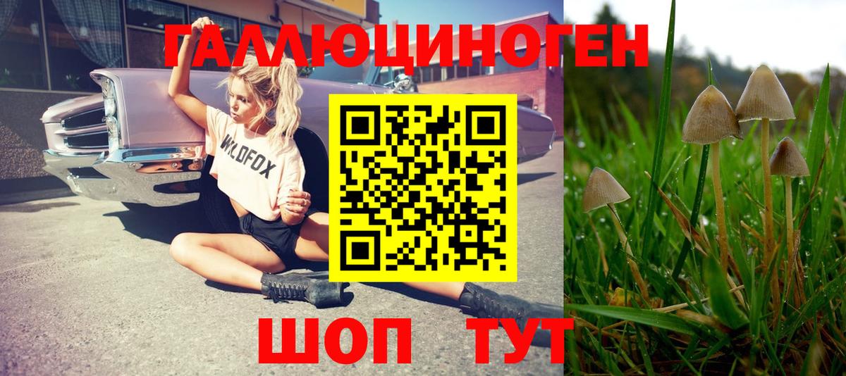 Галлюциногенные грибы мухоморы Гусь-Хрустальный